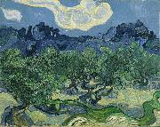Vincent Van Gogh The Olive Trees USA oil painting artist